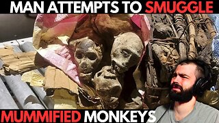 MAN ATTEMPTS TO SMUGGLE MUMMIFIED MONKEYS