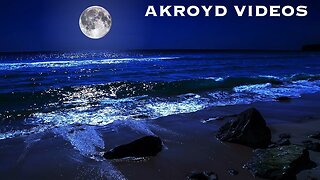 (AKROYD VIDEOS) PUSCIFER - HOLIDAY ON THE MOON