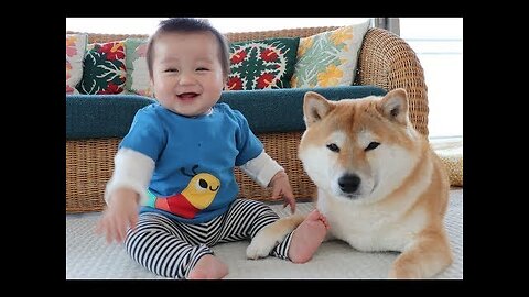 Cute babies and pets compilation Adorable Babies Playing With Dogs and Cats Funny Babies