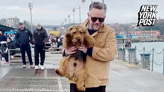 Pooch 'doggy-paddles' while being carried over water