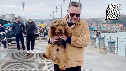 Pooch 'doggy-paddles' while being carried over water