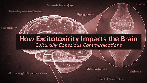 How Excitotoxins Impact the Brain - Culturally Conscious Communications