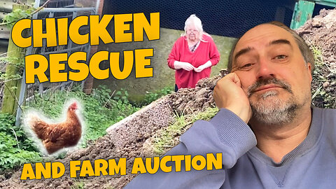 Chicken Rescue and Farm Auction 🐔 #vanlife