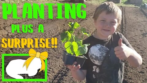Get Planting!! Sweet Surprise!!