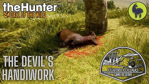 The Devil's Handiwork, Cuatro Colinas | theHunter: Call of the Wild (PS5 4K)