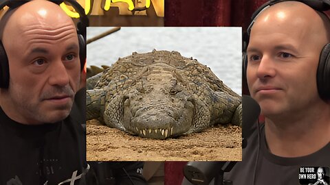 Joe Rogan & Adam Greentree Scary CROCODILES Stories