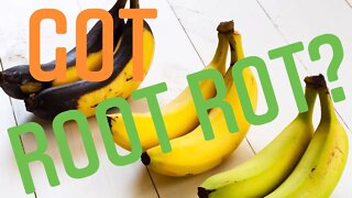 HOW TO USE BANANA PEELS FOR IN THE GARDEN FOR FERTILIZER & NUTRIENTS PROPERLY | Gardening in Canada