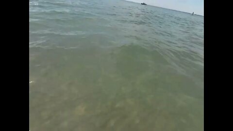 Underwater #lakehuron #beachvibes #survivordan #strangedanimal #ohhighbud