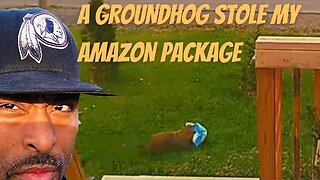 A GROUNDHOG STOLE MY AMAZON PACKAGE OFF MY PORCH #packagethieves #porchpirate