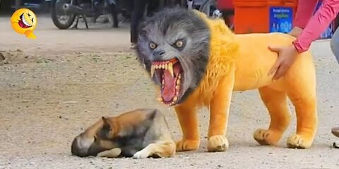 Funny fake lion and fake tiger