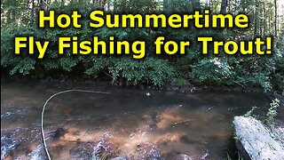 Southeast Sweltering Summertime Fly Fishing for Trout with Terrestrials