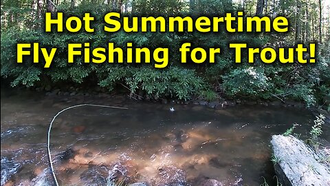 Southeast Sweltering Summertime Fly Fishing for Trout with Terrestrials