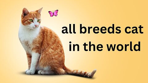 all cats breeds A-Z picture provid you all 98 breeds in thi world