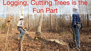 Logging, Cutting Trees is the Fun Part