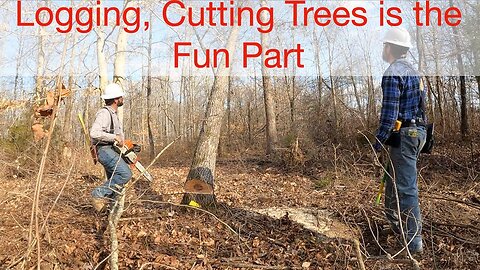 Logging, Cutting Trees is the Fun Part