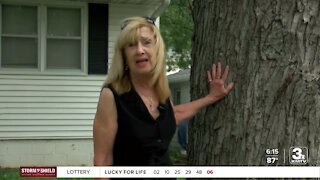 Property owner fighting to save neighborhood tree