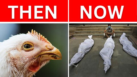 🔴 H5N1 will be worse than CV19?