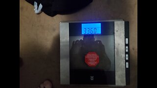 Weigh-In Apr 13, 2024