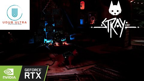 Stray | 4k Gameplay | PC Max Settings | RTX 3090 | AMD 5900x | Single Player Gameplay