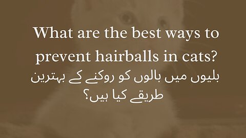 What are the best ways to prevent hairballs in cats