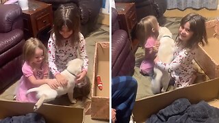 Little Girls Get Adorable Surprise Puppy For Christmas