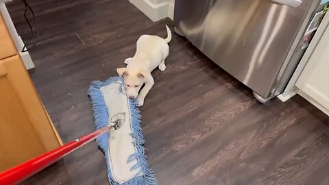You Will Not Sweep!