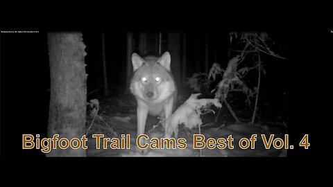 My Bigfoot Story Ep 109 - Bigfoot Trail Cams Best of Vol 4