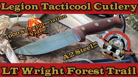 LT Wright Forest Trail Knife #edc #bushcraft #shorts #shortsvideo #usa #madeinusa #bushcraft #camp