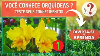 VOCÊ CONHECE ORQUIDEAS ? |QUAL O NOME DESSA ORQUIDEA? DIVIRTA-SE IDENTIFICANDO ESSA ORQUÍDEA