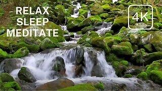 Relaxing Stream Sounds with Birds Chirping in the Background