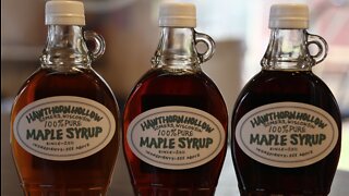 Wisconsin's sugaring season starts hot as saps turns into maple syrup
