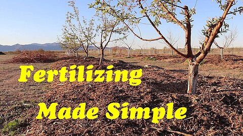 Fertilizing Fruit Trees | The What, When & How of Fertilizing