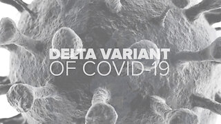 Delta variant raising concerns, but how may fully vaccinated people get it?