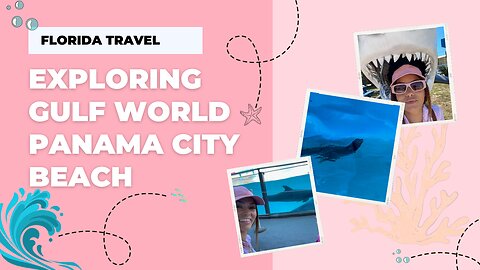 The Ultimate Guide to Gulf World | Florida Travel
