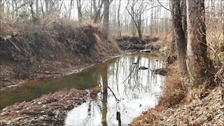 8 acre investment property Exploring the woods is a Bulldozer hiding somewhere? PART 2