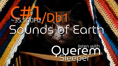 C#1/Db1 ~35 500Hz Sounds of Earth | with Querem Sleeper