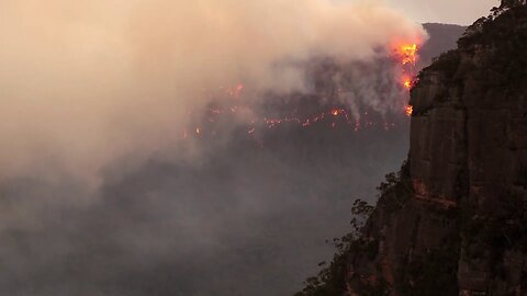 Tracking Carbon from Wildfires to Ocean Blooms