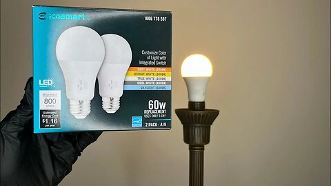 ECOSMART- White Bulb with SWITCH 60W