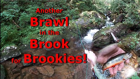 Brawl in the Brook for Brookies EP3 - Fly Fishing for Brook Trout