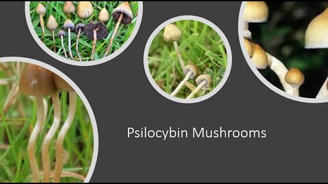 Magic Mushrooms - Psilocybin - Benefits & Side Effects