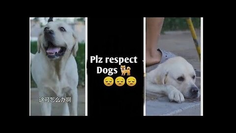 DOG SAVE BLIND MAN LIFE