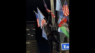 NYC: Gaza protesters rip down US flags on Veterans Day