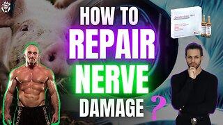 Can Fighters Improve Recovery from TBIs & Nerve Damage?