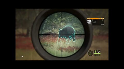 theHunter: Call of the Wild Chapter 101 Moose, Blackbear, and White-Blacktail Deer!