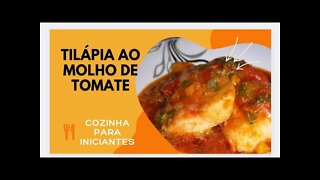 RECEITA DE TILÁPIA AO MOLHO DE TOMATE - UM PRATO LEVE MUITO FÁCIL, SIMPLES E RÁPIDO.