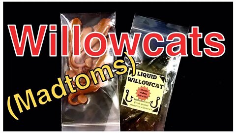 Willowcats (Madtoms) - New Bass and Trout Baits that may be a killer!