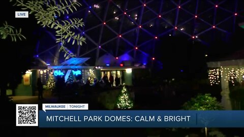 Light show takes over Mitchell Park Domes
