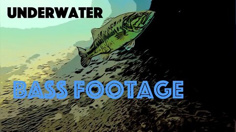 Just Breathe...underwater and drone footage - bass and bluegill