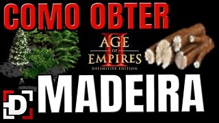 Como Pegar Madeira no Age of Empires 2?