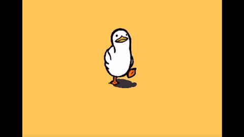 Funny Duck